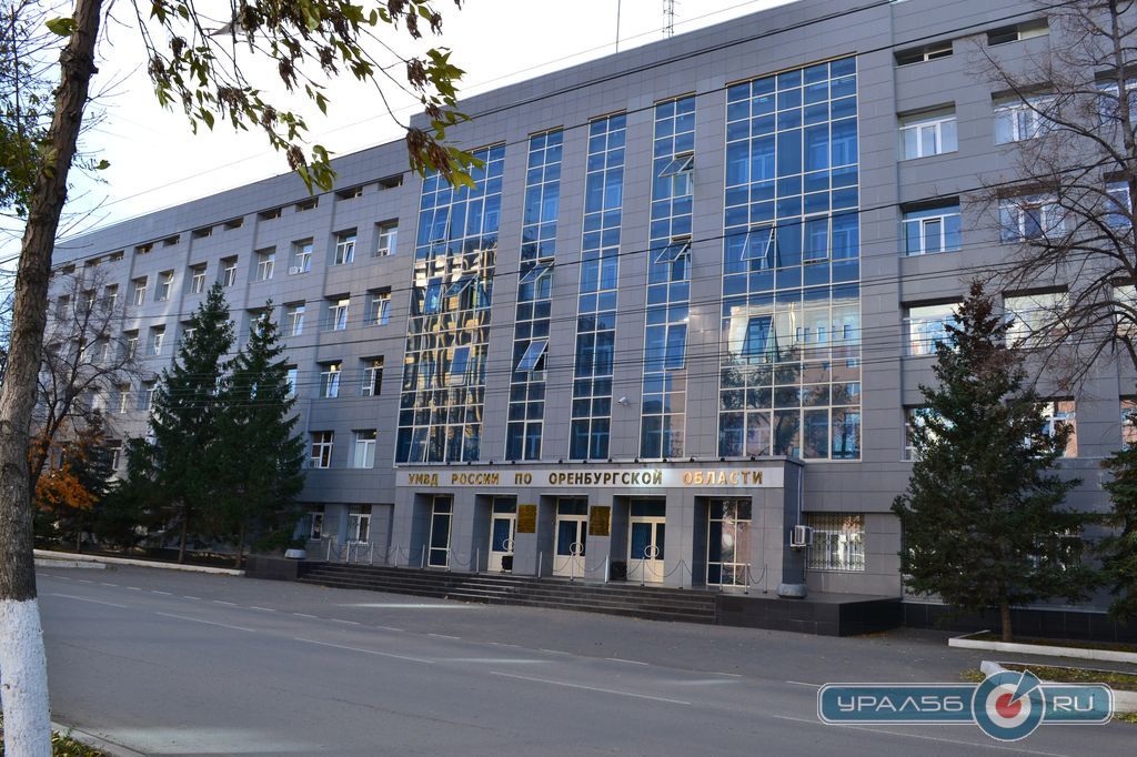 У МВД России появилось мобильное приложение