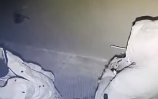 На месте кражи. Стоп-кадр из видео УМВД России по Оренбургской области