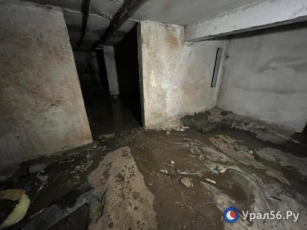 Затопленный подвал. Фото из архива