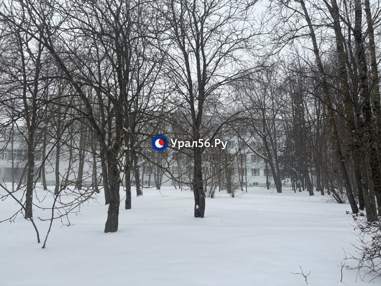 Фото с территории учреждения