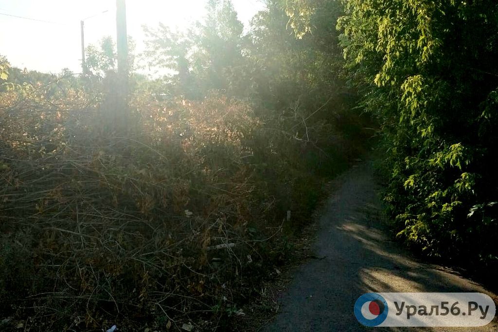 Свалка веток на улице Крайней в Орске, 05.07.2020