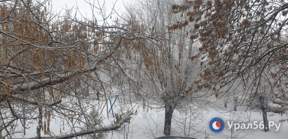 Сильный ветер и снег: Какая погода прогнозируется на 8 марта в Оренбургской области