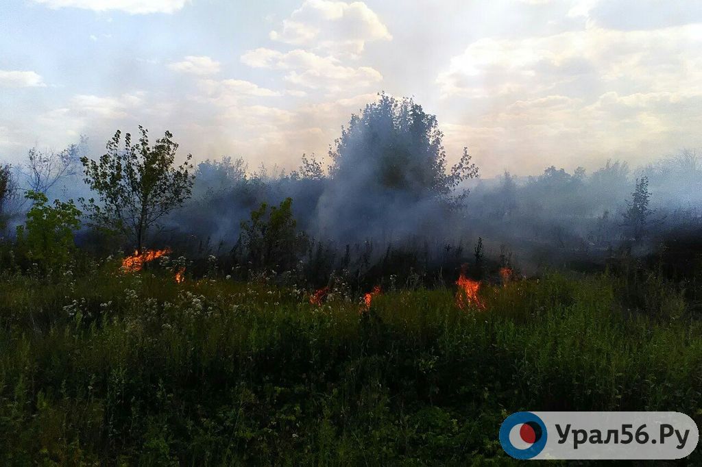 Природный пожар в районе Орска, 2017 год