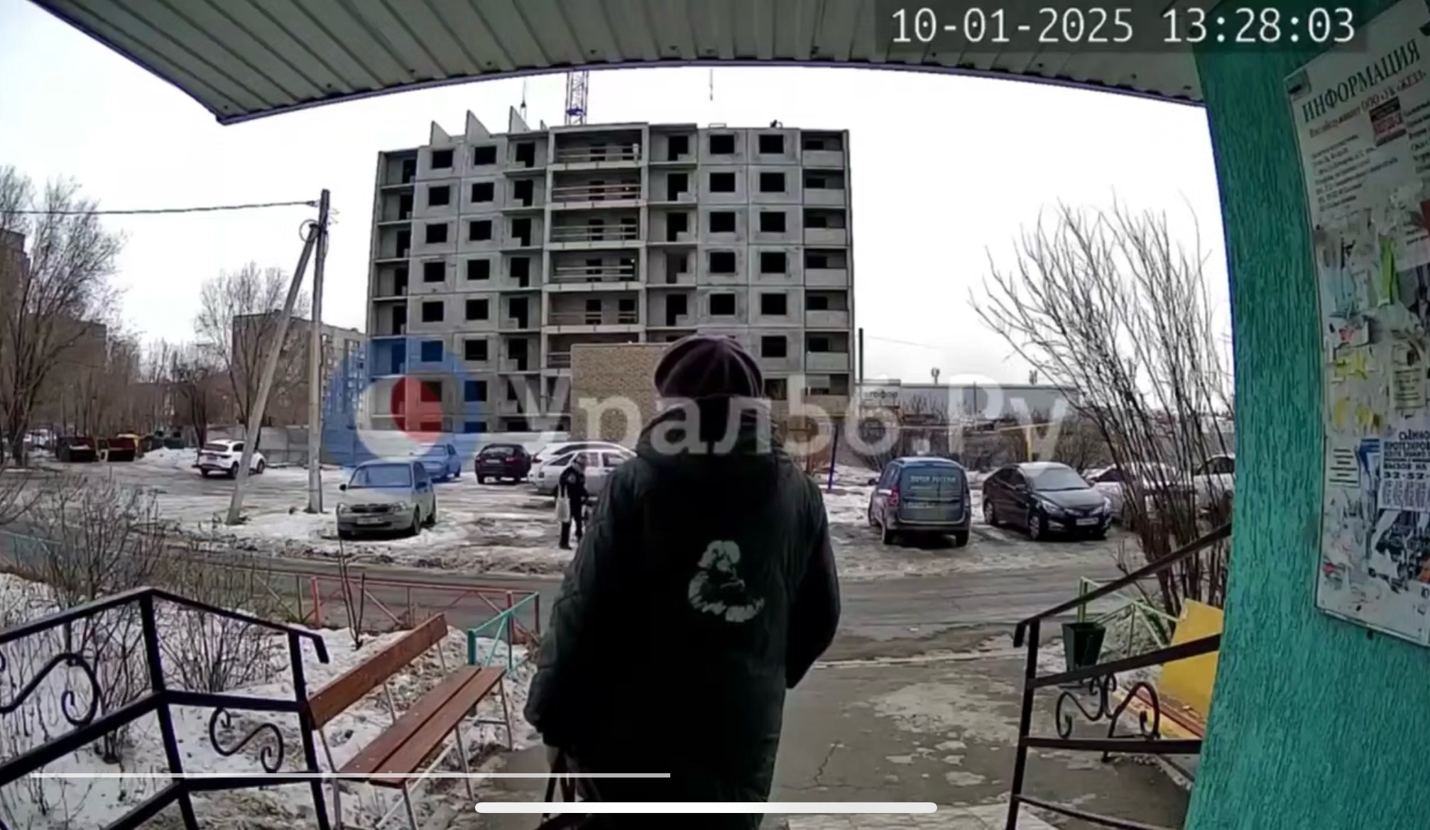 Момент нападения собак на ребенка попал на камеру домофона