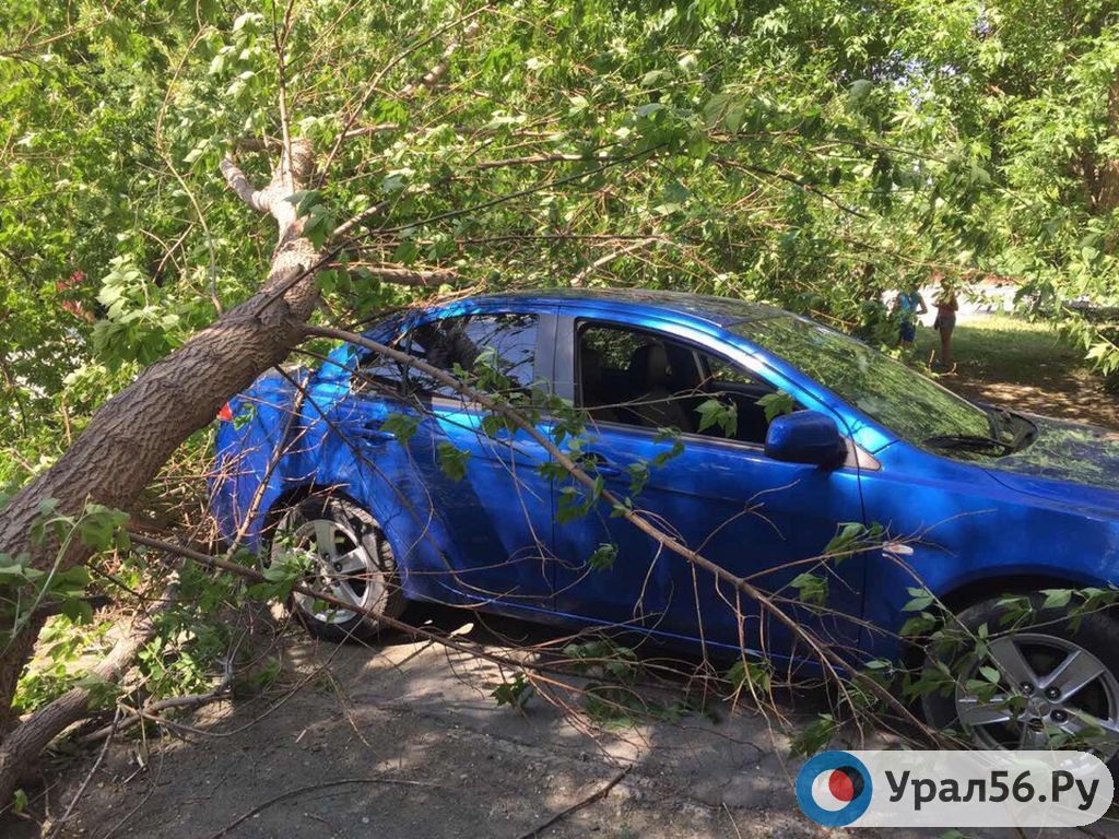 В Орске дерево упало на машину, 12.06.2019