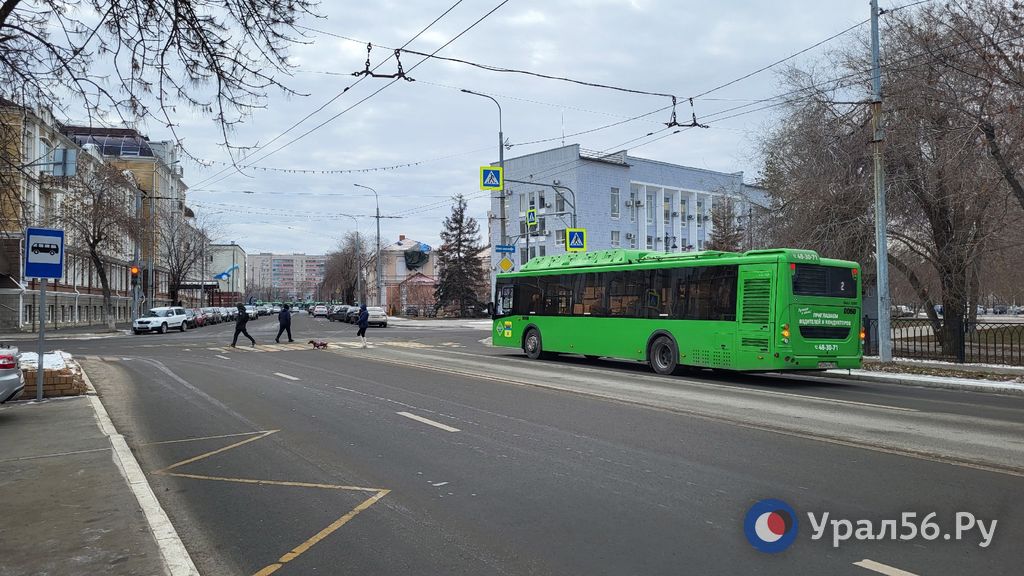 Новый автобус в Оренбурге