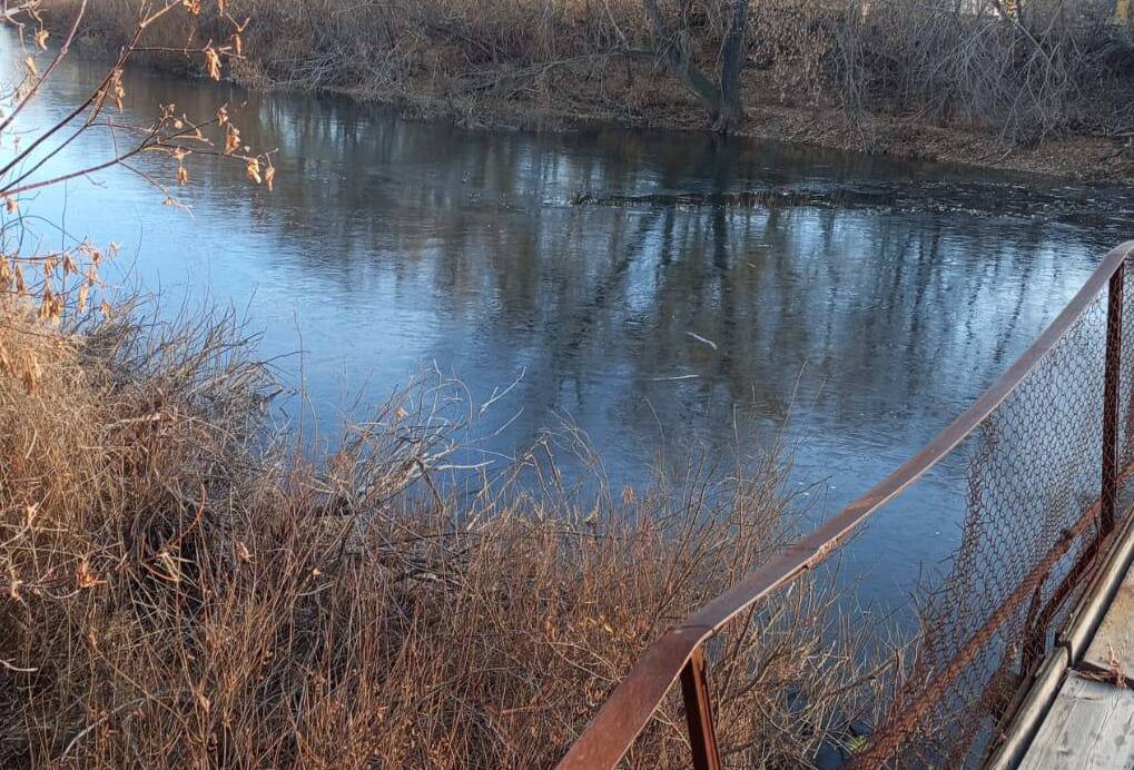 Река. Фото: МСР России по Оренбургской области