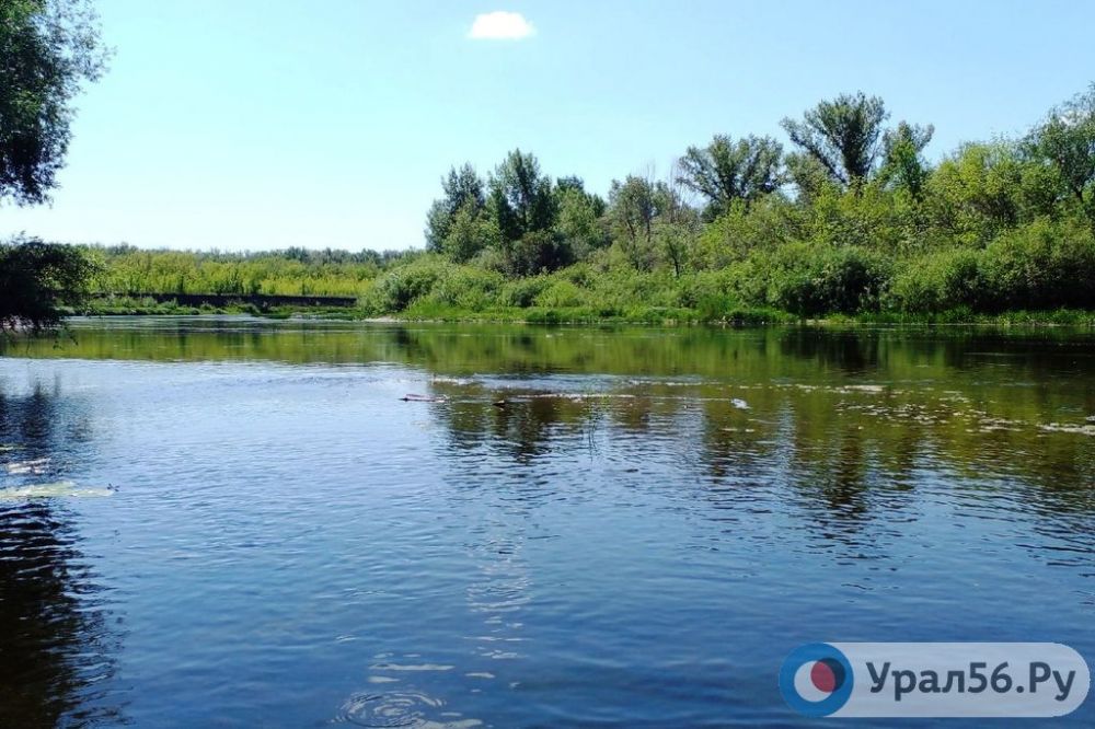 К расчистке русла реки Урал в Оренбурге приступят только в 2023 году. Завершат работы в 2024 году