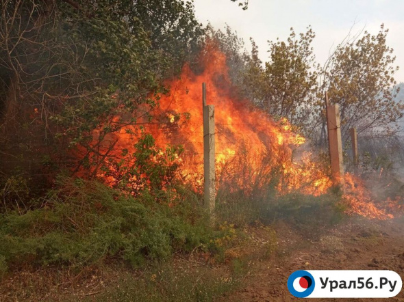 На территории Оренбургской области отменяется особый противопожарный режим