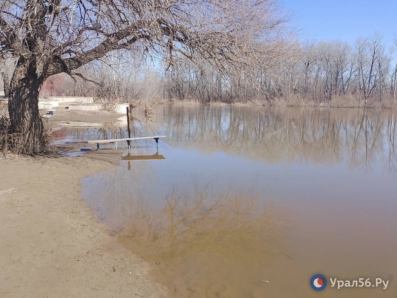 Пляж в Орске, фото из архива