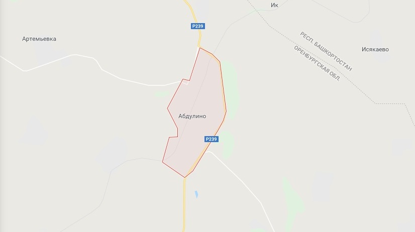 В Абдулино мужчину, который на 5 дней увел своего сына в лес, отправили на принудительное лечение