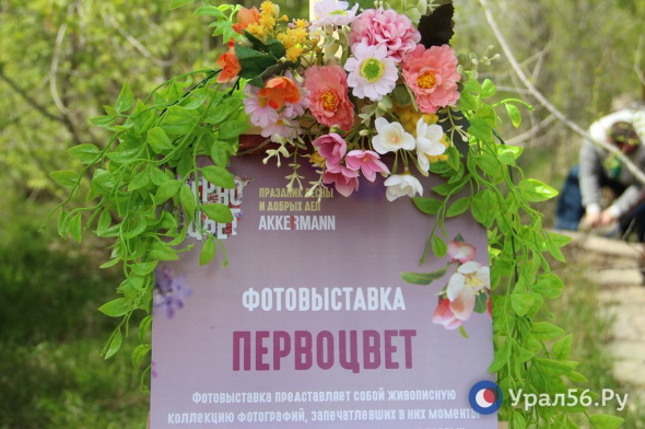 Ярмарка, выставки и дефиле собак: AKKERMANN провел праздник весны и добрых дел «Первоцвет»