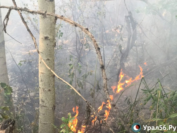 В Оренбургской области объявлен особый противопожарный режим