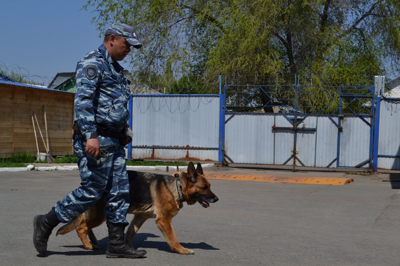В Оренбурге мужчина проник в чужой дом, принял там душ, переоделся в вещи хозяина и забрал телефон