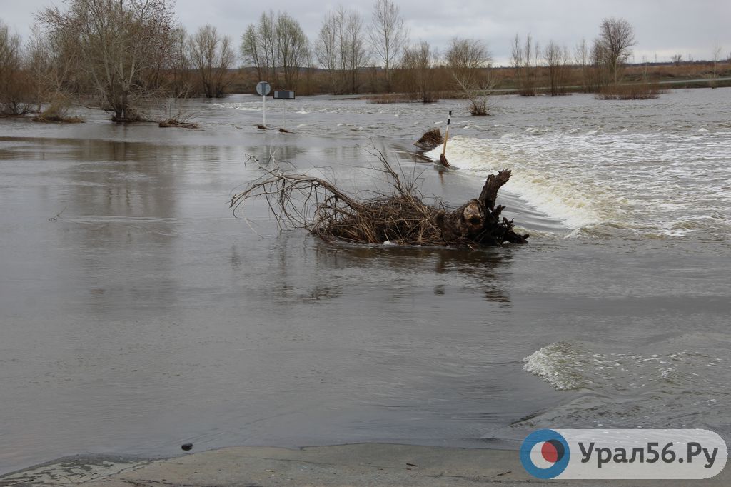 Паводок в оренбурге прогноз