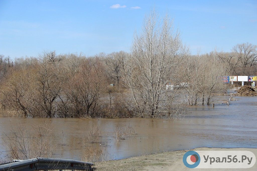 Какой уровень воды в урале в орске