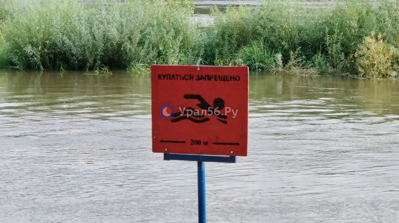 На пляже в районе Красной площади купаться запрещено. Фото 2024 года
