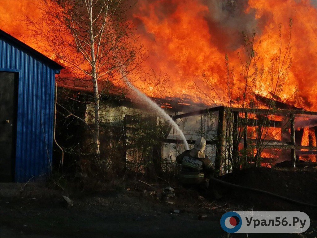 Тушение пожара в Оренбургской области (фото из архива)