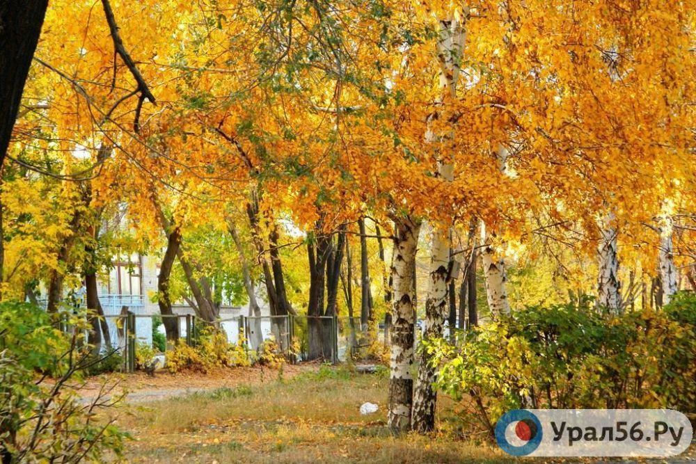 Осень в Оренбургской области, фото из архива
