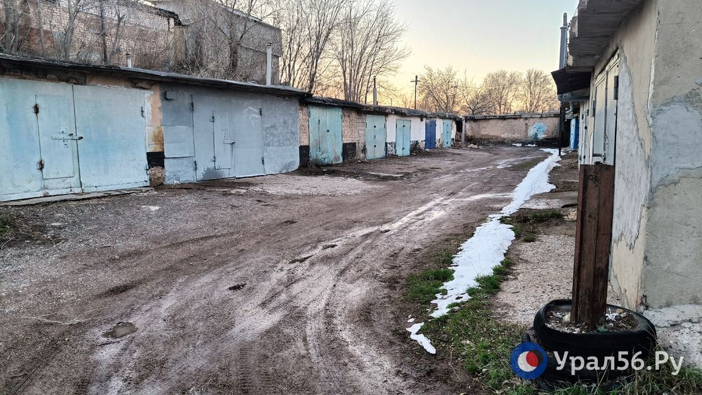 Оренбург нападение. Улица Кольцевая Оренбург. Оренбург фото. Собака фото для детей.