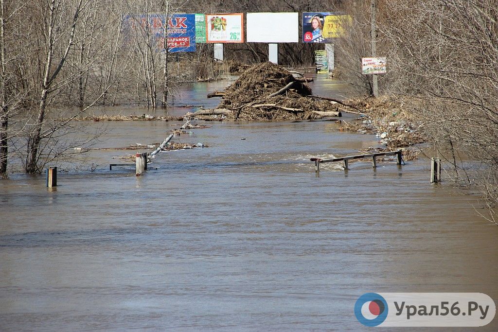 Какой уровень воды в урале в орске