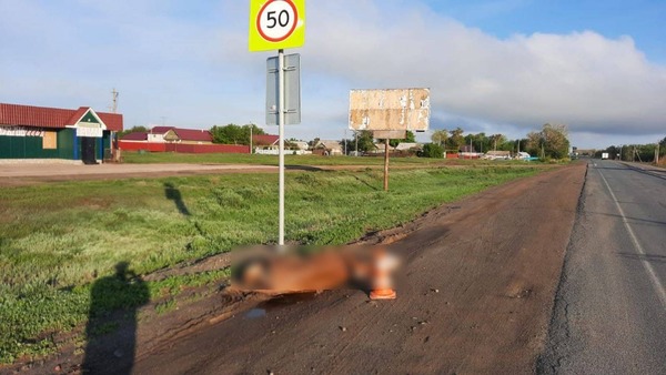 Фото с места происшествия. Источник: пресс-служба УМВД России по Оренбургской области