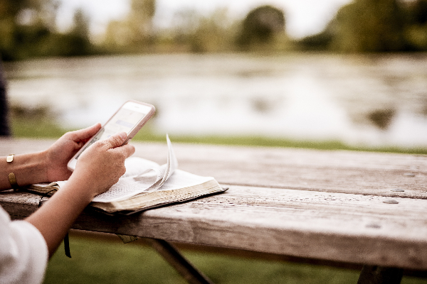 От 3G к 4G: Билайн завершил предельный рефарминг в Оренбургской области