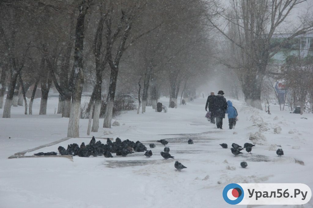 Снегопад в Оренбурге. Снегопады Оренбургская область хроника. Снег в Оренбургской области сегодня видео. НСО метель. Погода оренбург 4 декабря