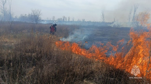 Площадь пожара в районе ул. Г.Донковцева составляет около 2 га. Горит сухая трава