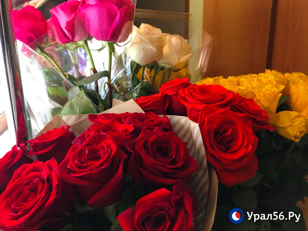 Купить Розы В Оренбурге