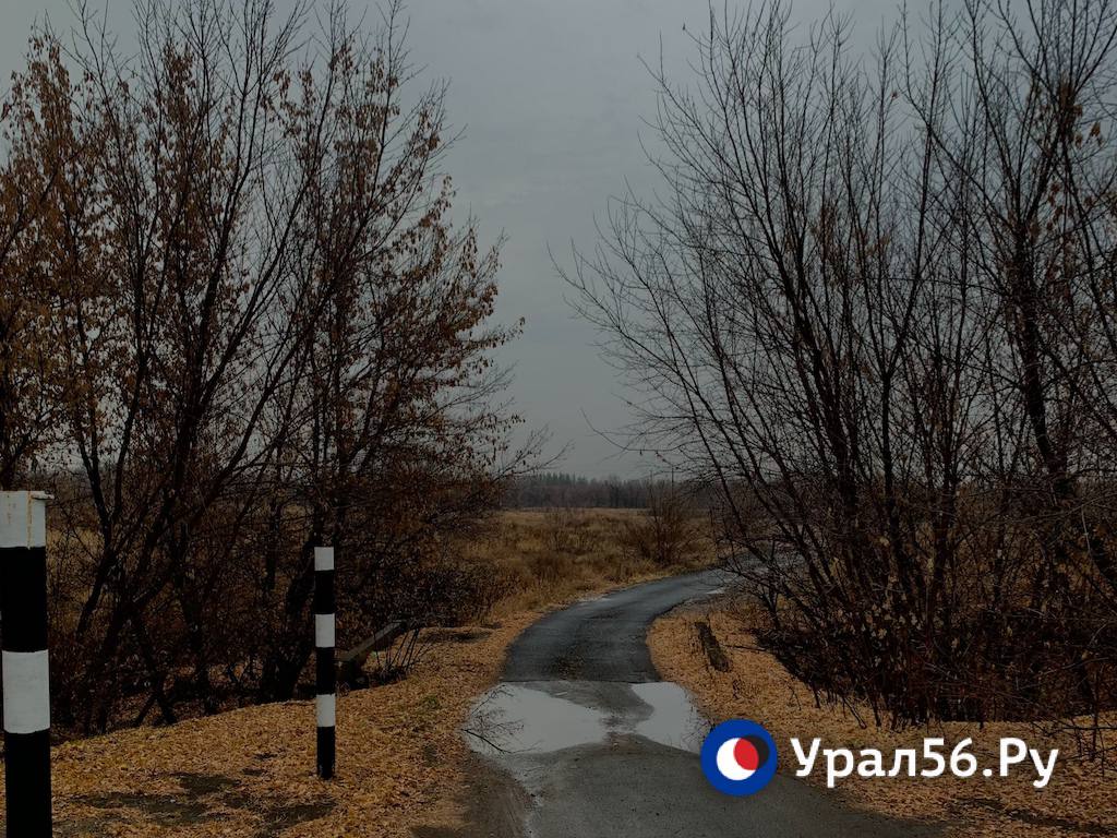 Дорога. Оренбург