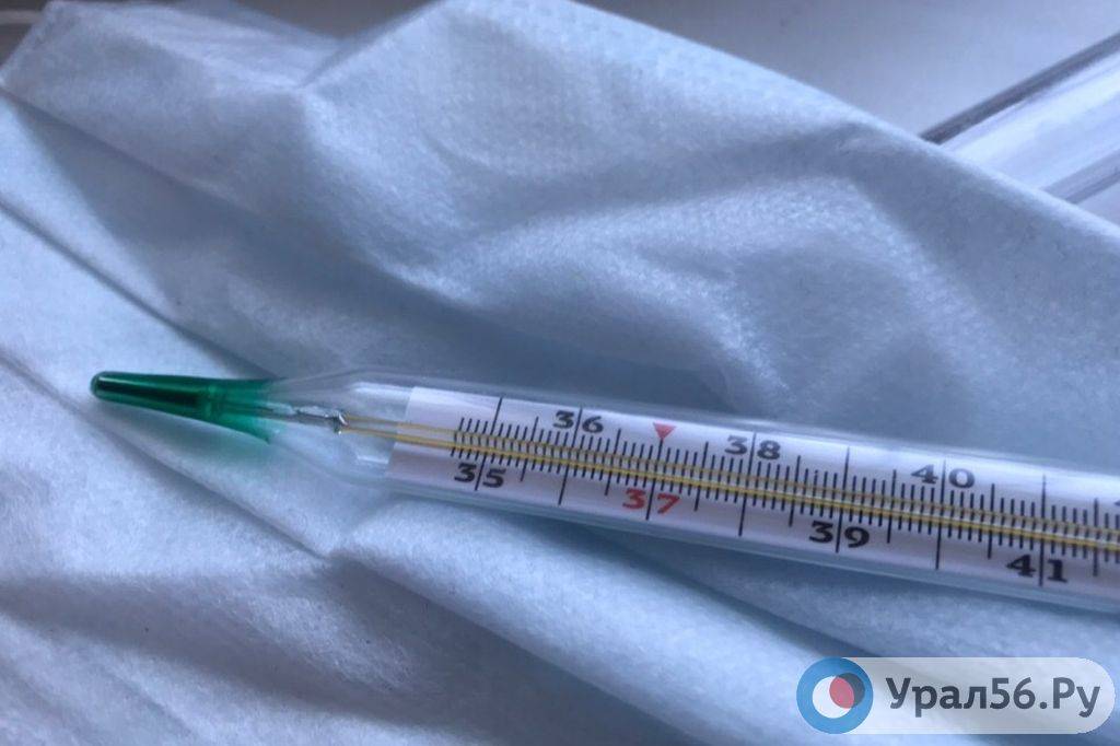 Заболеваемость гриппом и ОРВИ в Оренбургской области снижается