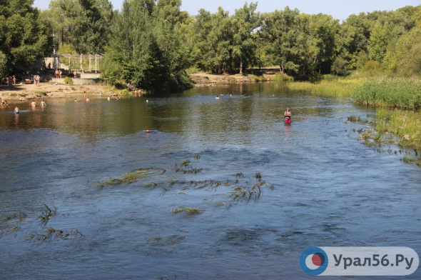 В Минприроды Оренбургской области прокомментировали реакцию Казахстана на строительство переливной плотины на реке Урал