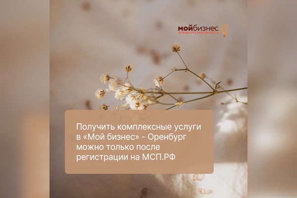 Получить комплексные услуги в «Мой бизнес» — Оренбург можно только после регистрации на МСП.РФ