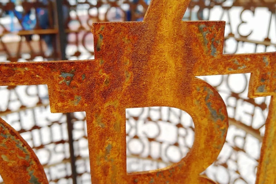 Фото: Дмитрий Болдырев