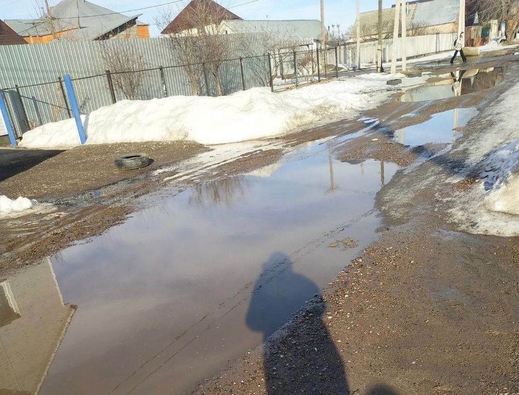 Улица Дубицкого осенью. Фото: ТГ-канал Lysenok