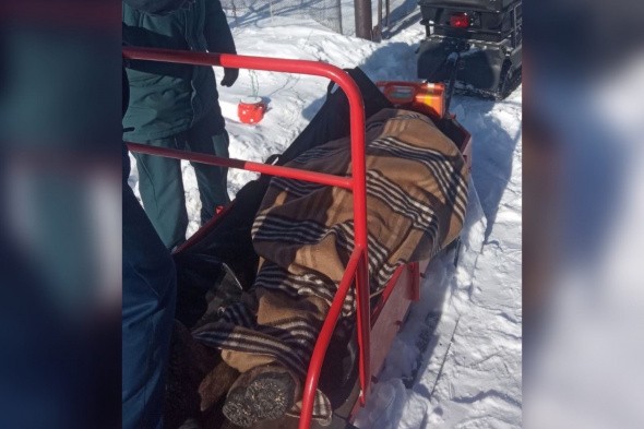 Из-за снежных заносов пациентку из Оренбургской области пришлось на санях довозить до автомобиля скорой помощи