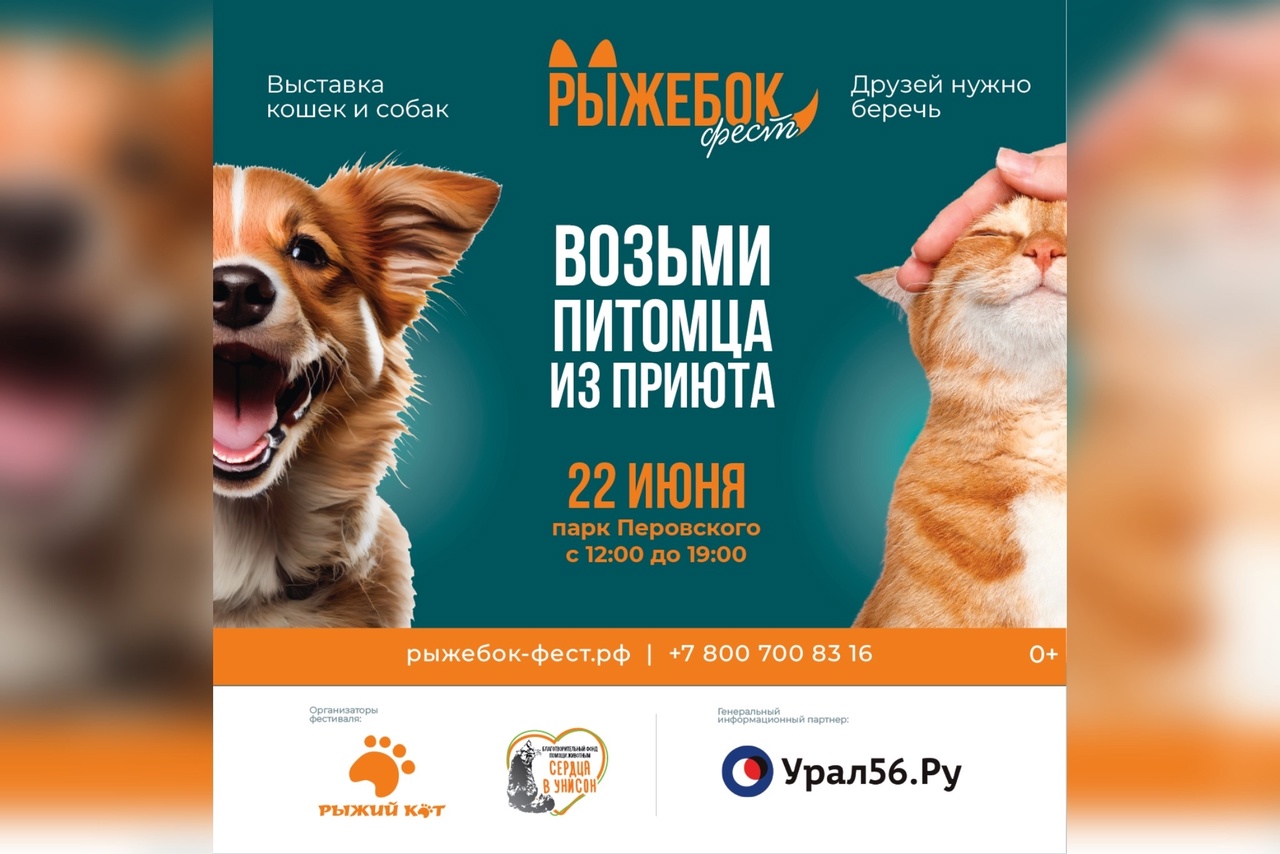 22 июня в Оренбурге впервые состоится фестиваль для питомцев «Рыжебок-фест»
