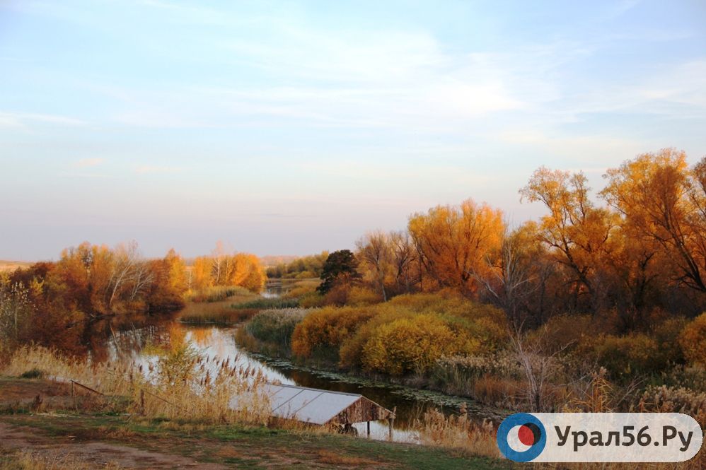 Осень в Оренбургской области