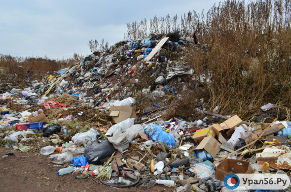 «В Оренбуржье собирается от 500 до 600 тысяч тонн мусора в год»: министр экологии анонсировал появление в регионе трех мусороперерабатывающих заводов