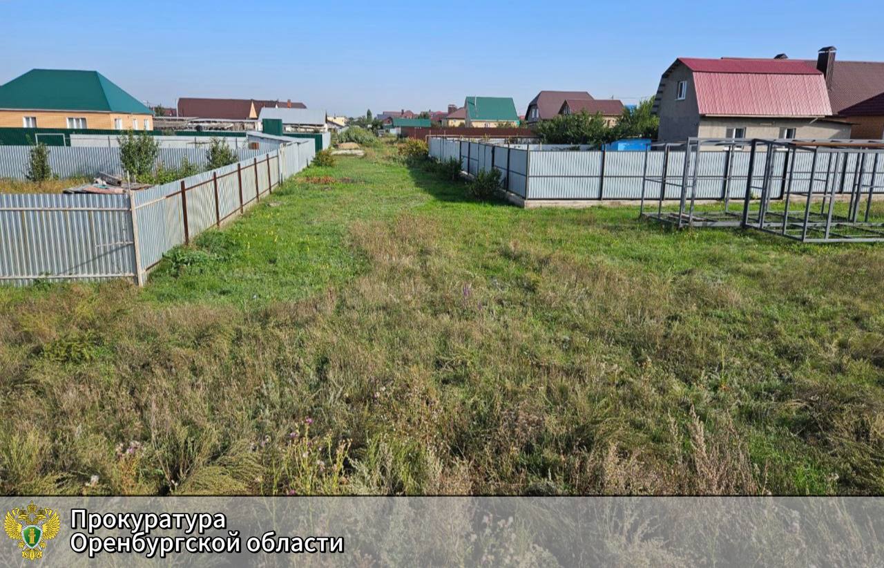 Земельный участок. Фото прокуратуры региона 