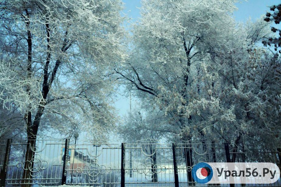 Какая погода ждет жителей Оренбургской области на этой неделе?