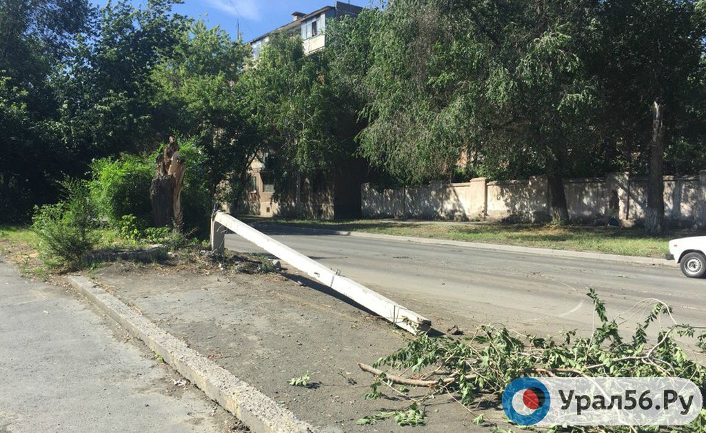 В Орске сильный ветер валит деревья и столбы, 22.07.2018