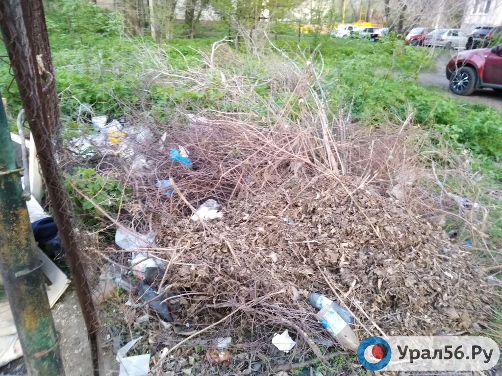 В Орске с некоторых мусорных площадок вновь не вывозят спиленные ветки