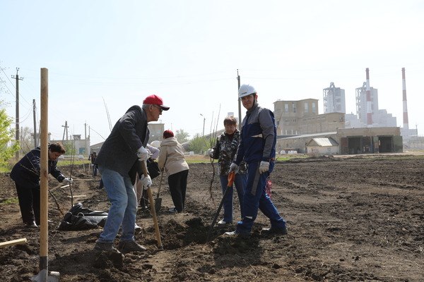 Территория в будущем превратится в парк