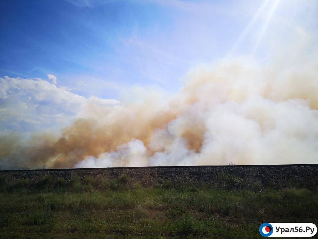 Вдоль дороги Орск — Гай горят несколько километров лесопосадки (фото)