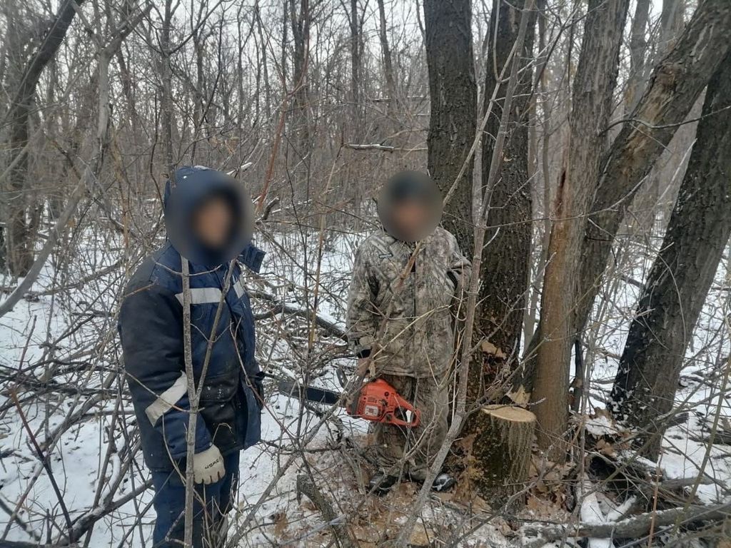 Ущерб нанесенный лесничеству составил 77 357 рублей. Фото: УМВД России по Оренбургской области
