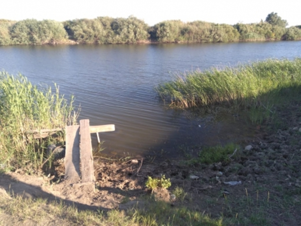 Возле водоема. Фото: СУ СК РФ по Оренбургской области