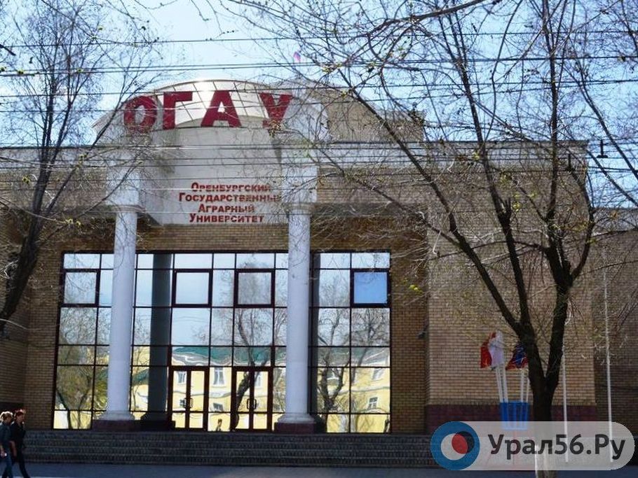 Некоторые выпускники ОГАУ переживают, что получат диплом негосударственного образца