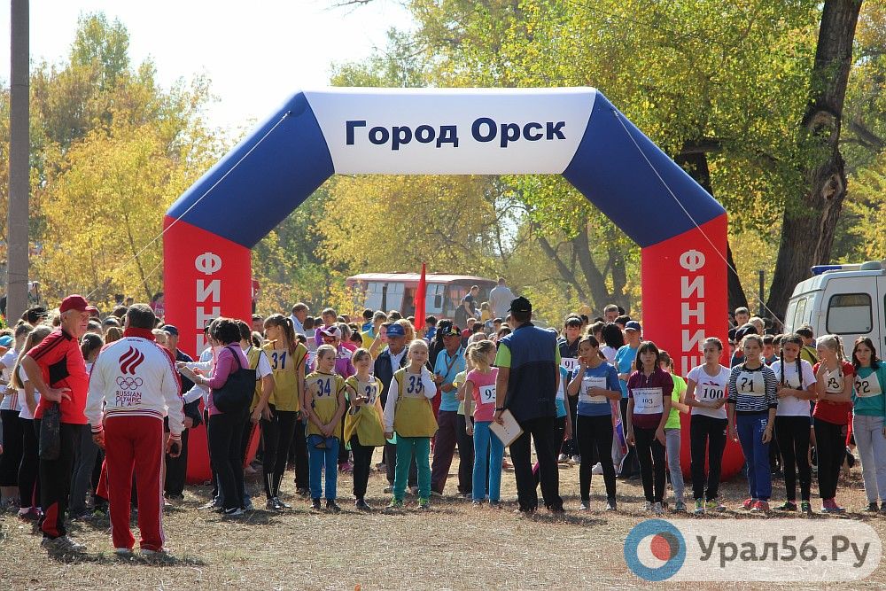 Кросс наций в Орске